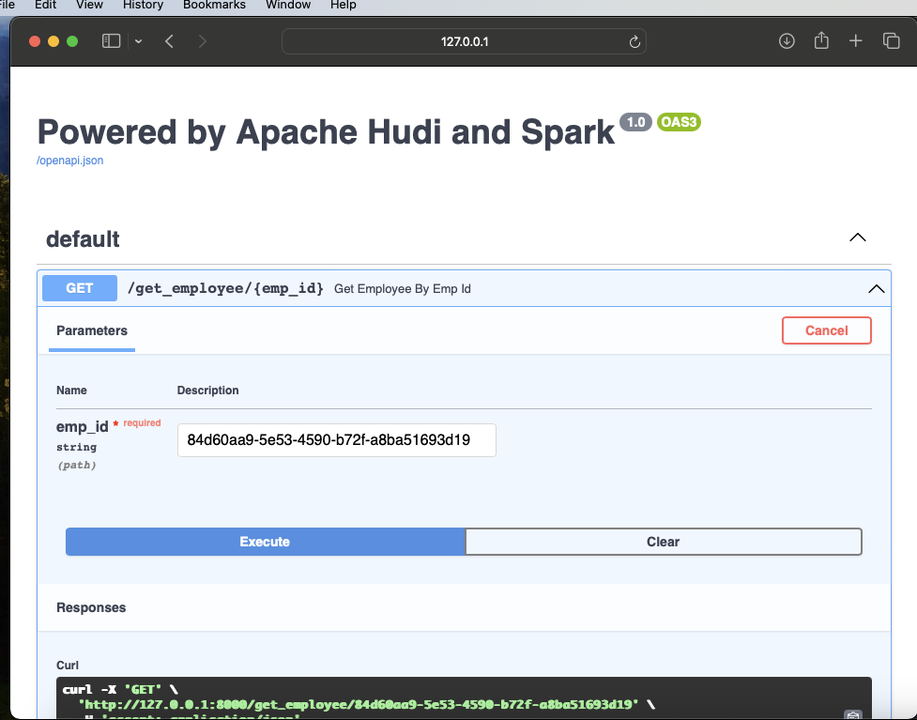 From Datalake to Microservices: Unleashing the Power of Apache Hudi's Record Level Index with FastAPI and Spark Connect
